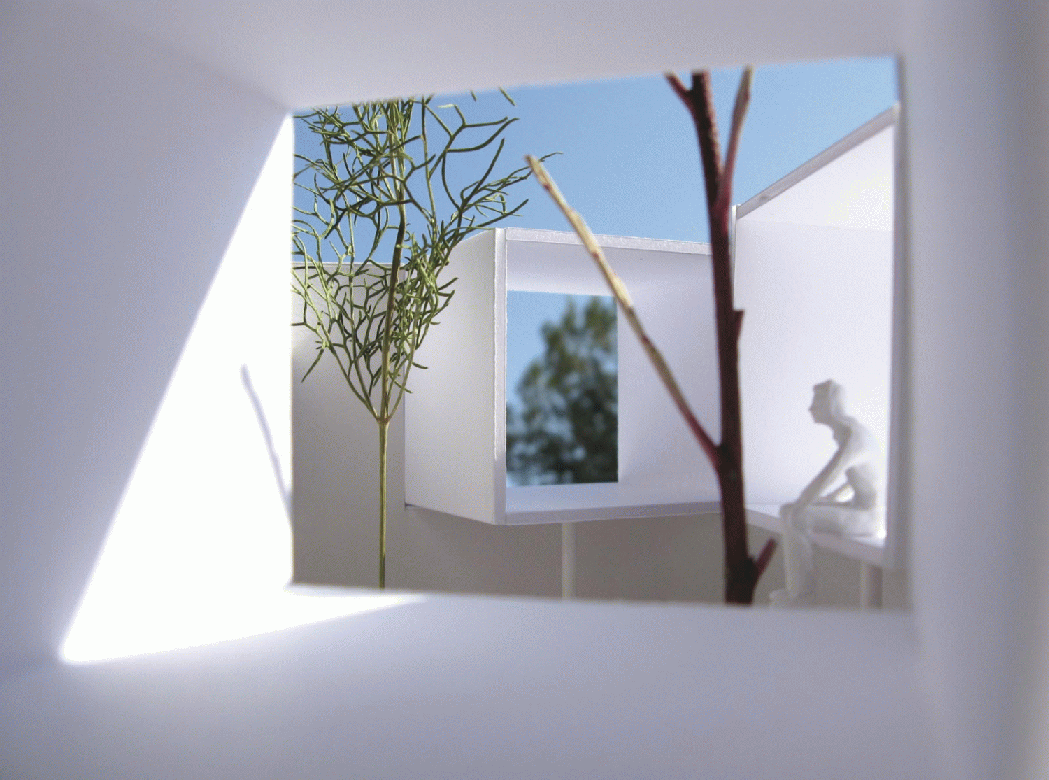 Alex Alvarez - Habitar com a utopia