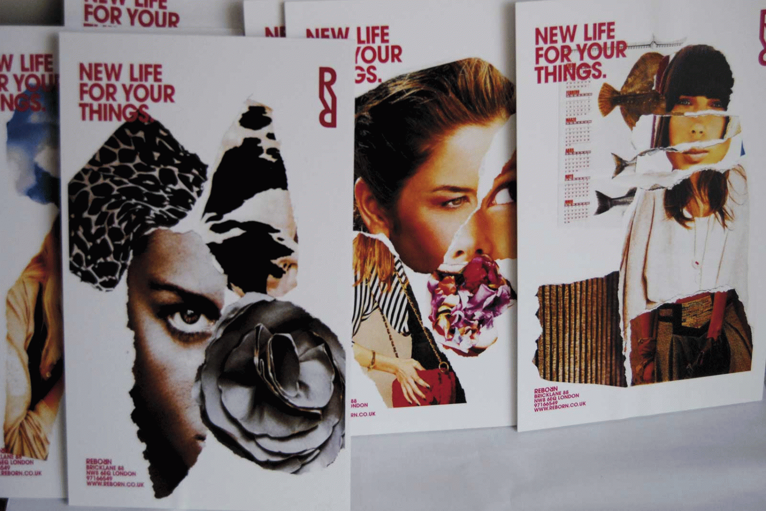 Anna Corretja - Reborn