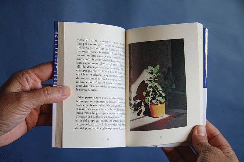 Elogio a la luz - Alba Moreno Lecha