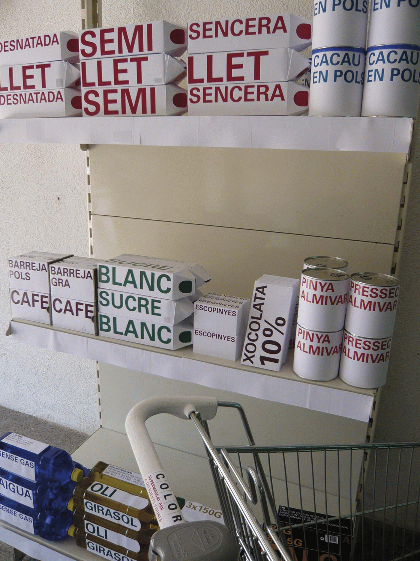 Anna Rodríguez - Supermercat per a Deficients Visuals