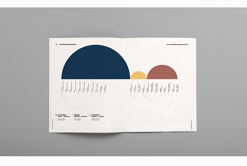 Berta Mir Villellas - L’atles infogràfic sobre l’evolució humana