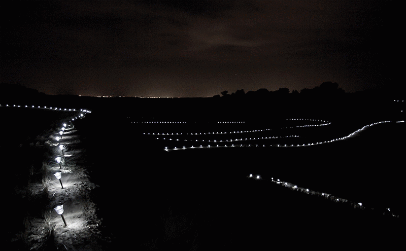 Blanca Muntadas Jaumandreu - Labyrinth Of Light