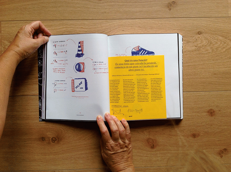 Carme Almenar Sempere - La forma visual de les matemàtiques