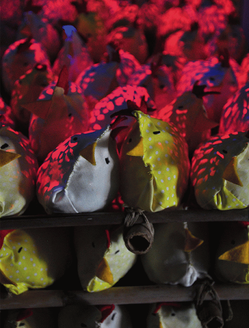 Cèlia Carballo Moreno - Historias de Horror Animal 