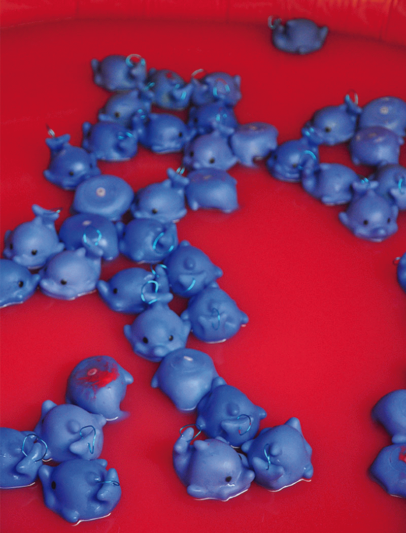 Cèlia Carballo Moreno - Historias de Horror Animal 