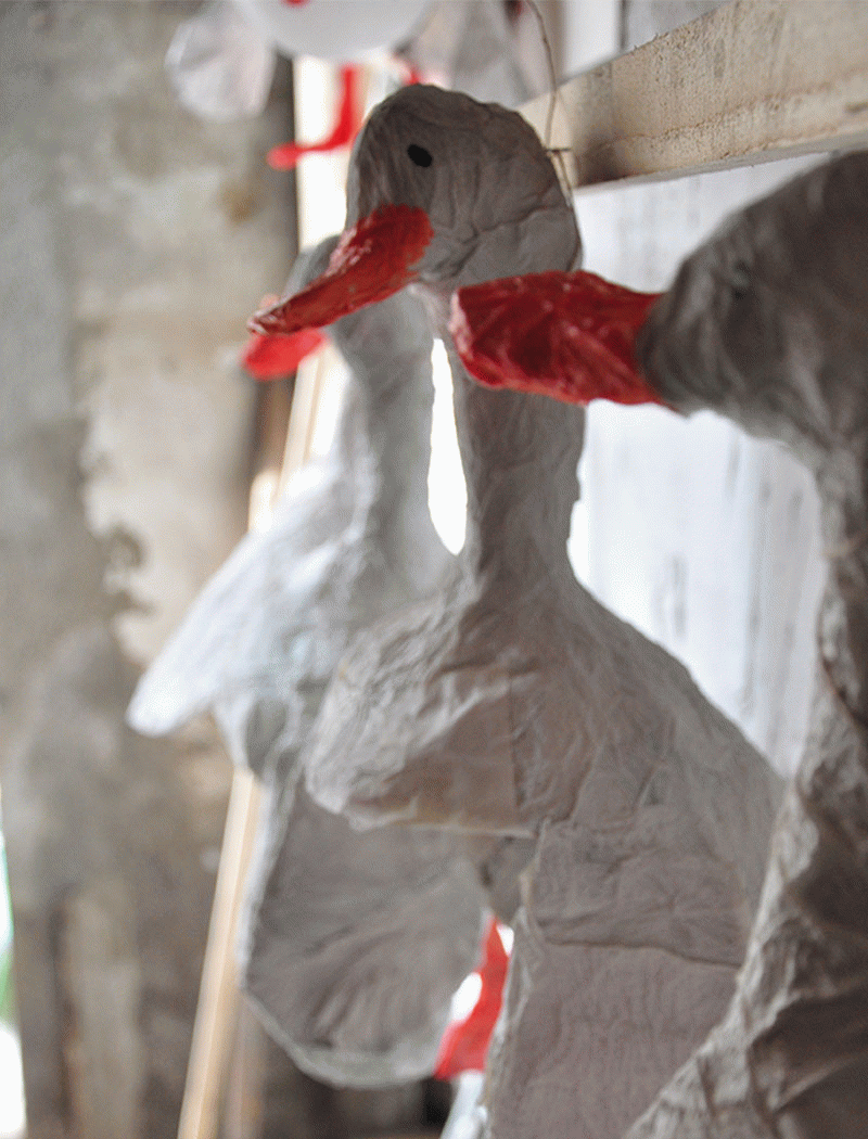 Cèlia Carballo Moreno - Historias de Horror Animal 