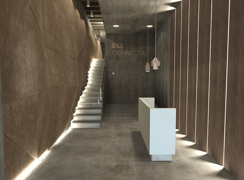 Desconnecta't - Carla Casajuana Solé