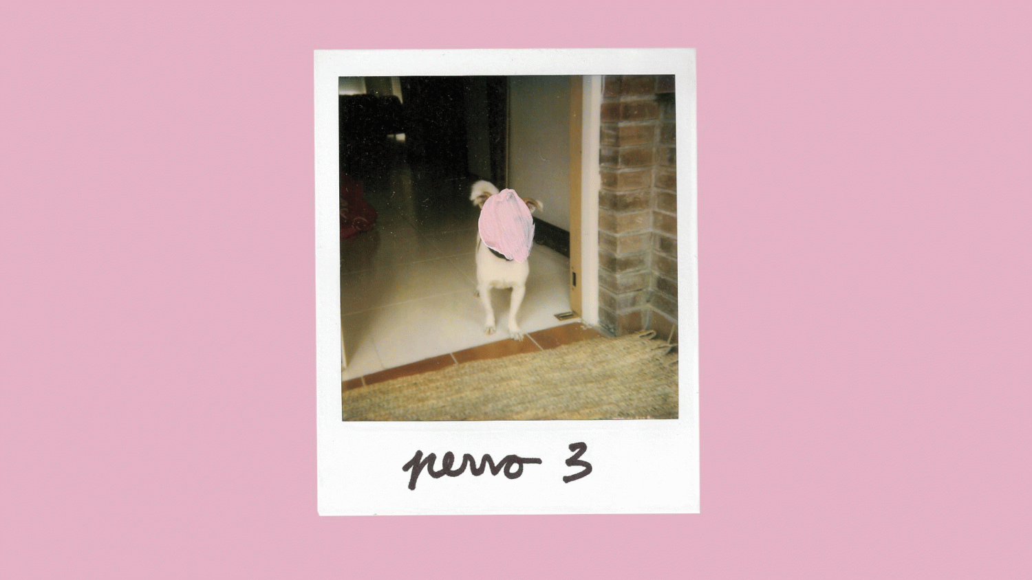 Carlota Castells Puig