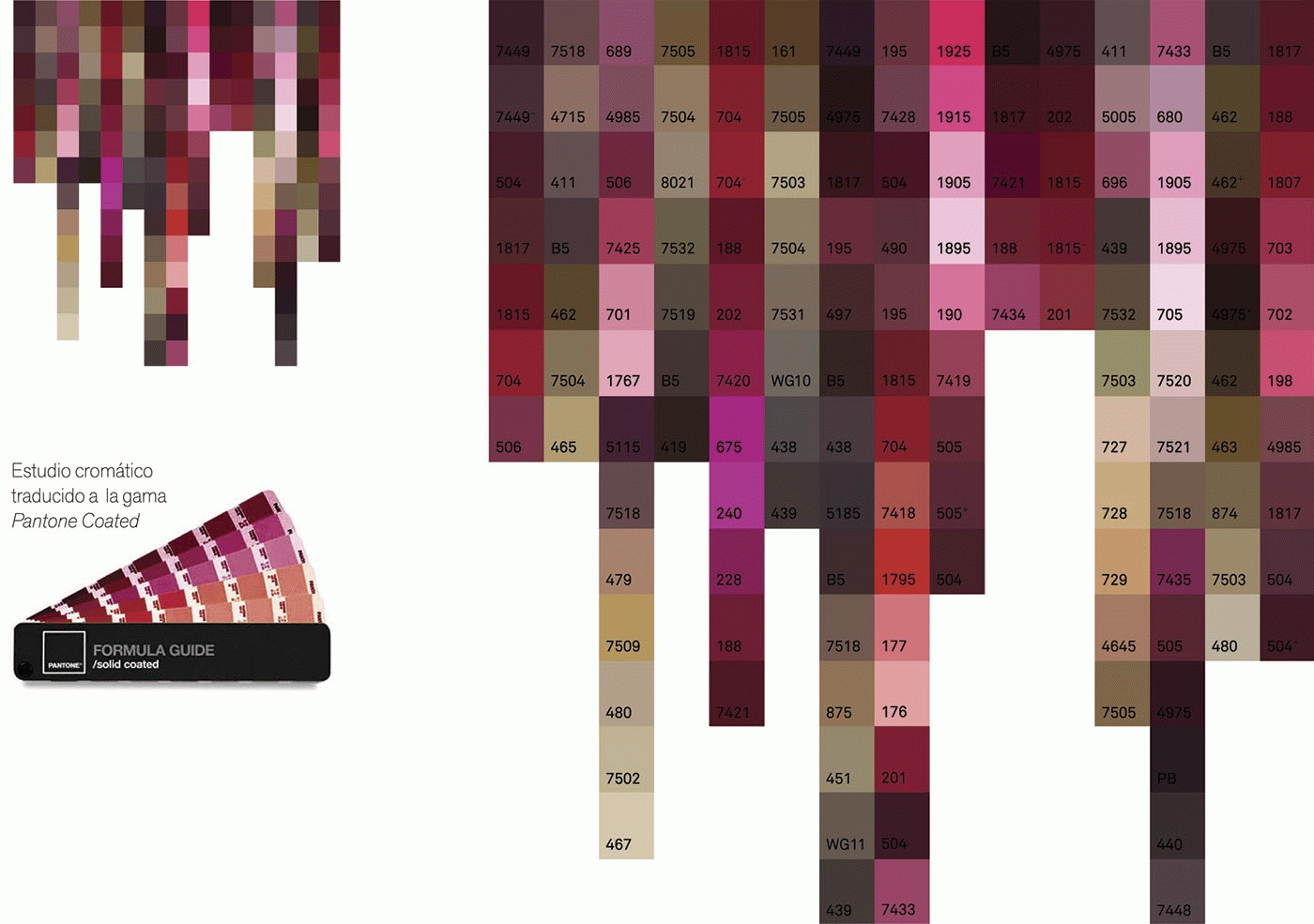 Carolina E. Díaz Galindo - Hortacroma