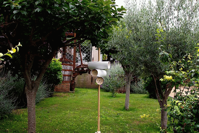 Hbee - Cristina Bonamusa Martinez