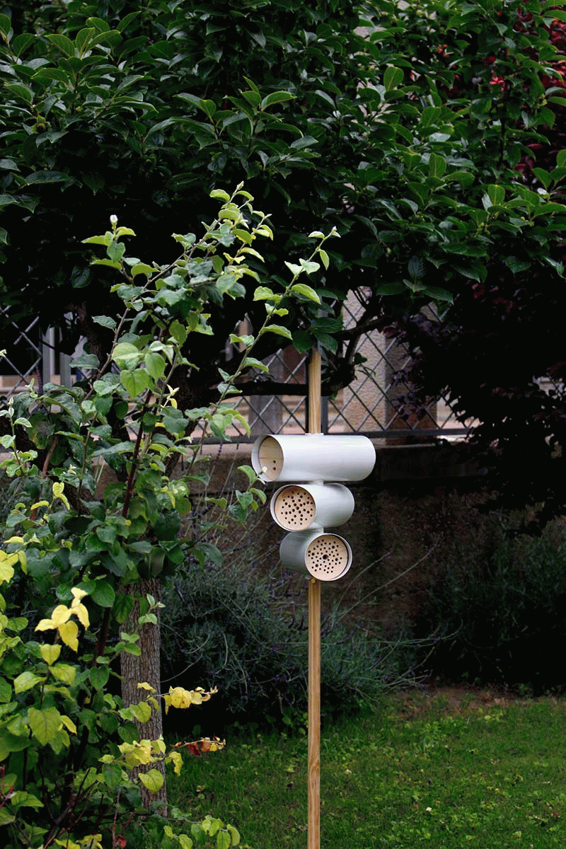 Hbee - Cristina Bonamusa Martinez