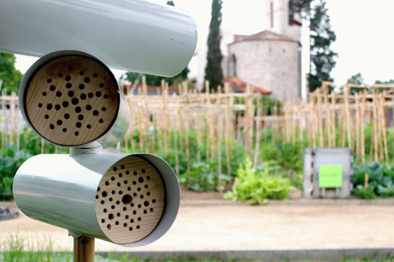 Hbee - Cristina Bonamusa Martinez