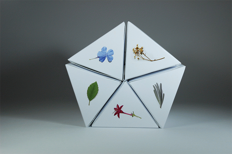 Elements - Carolina Montero Espluga