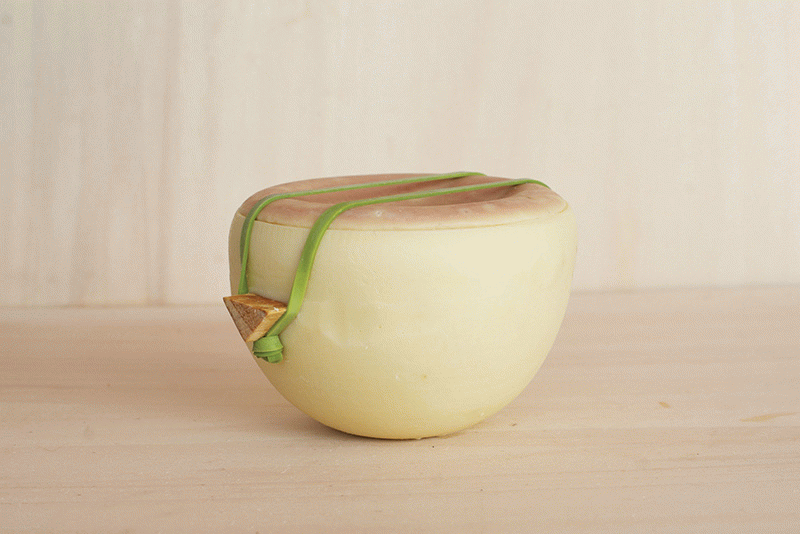 Olia - Denis Lara Molina