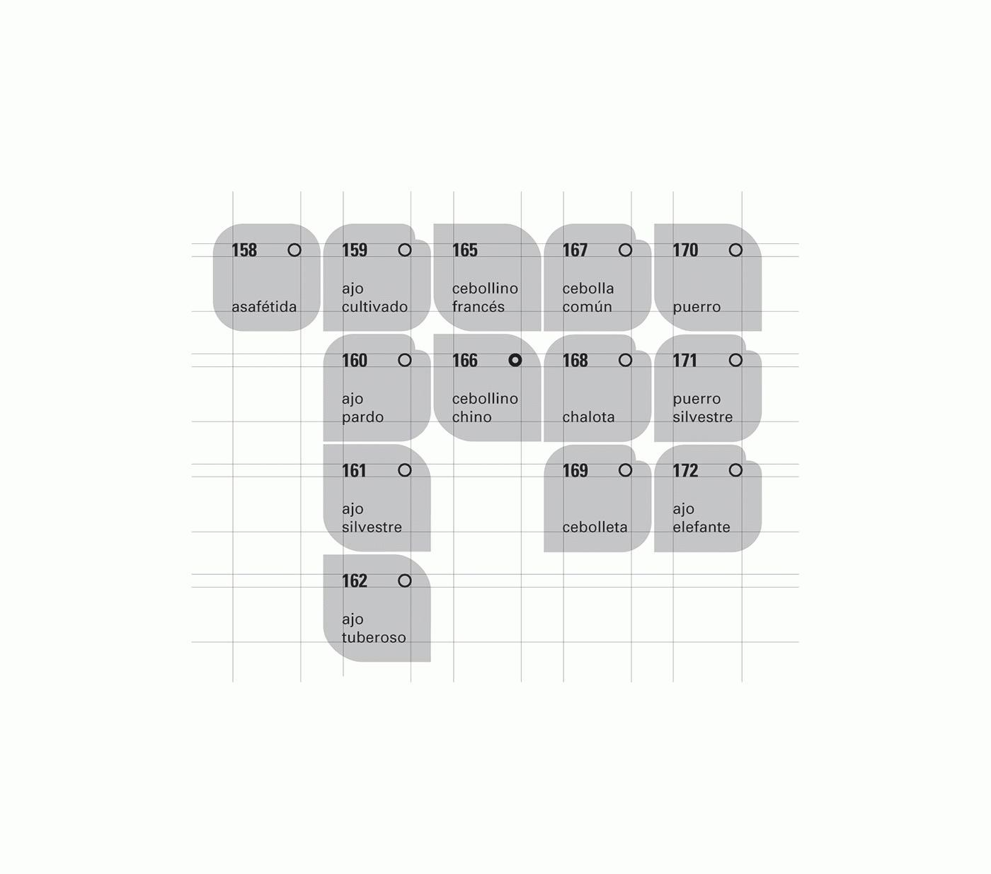 Eva Garcia Pano - Mapa organolèptic d’herbes i espècies culinàries