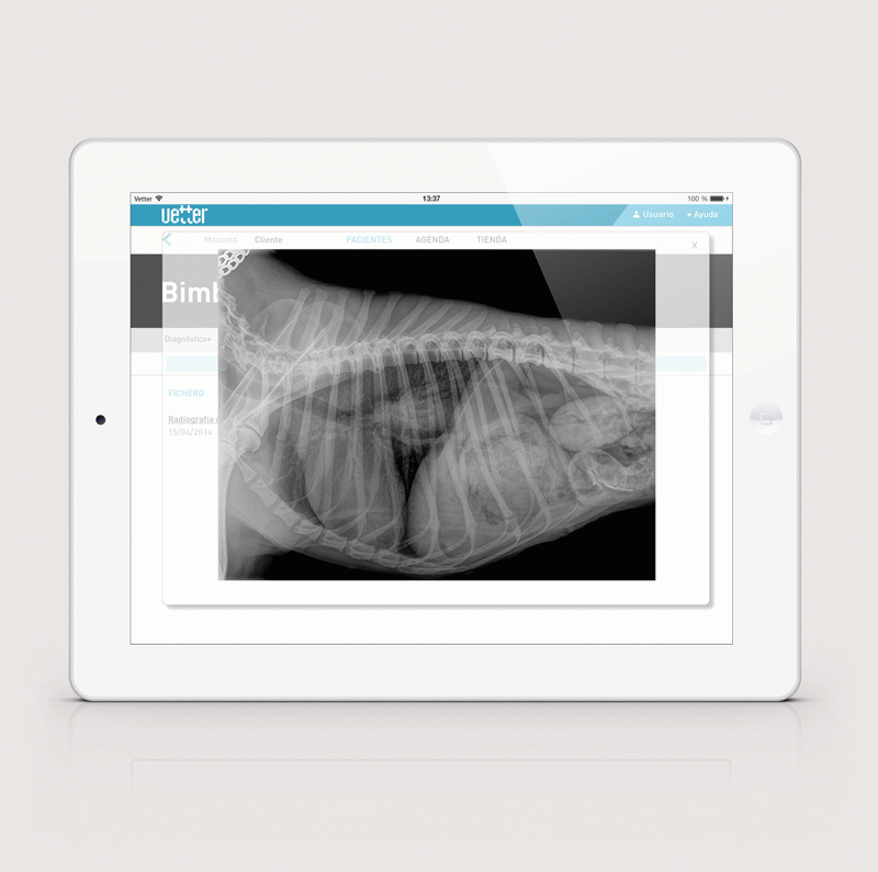 TFG de Judit Maldonado a Eina - Vetter