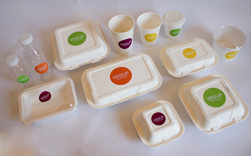 Vegup. Identitat d’un fast food vegetarià - Júlia Sala