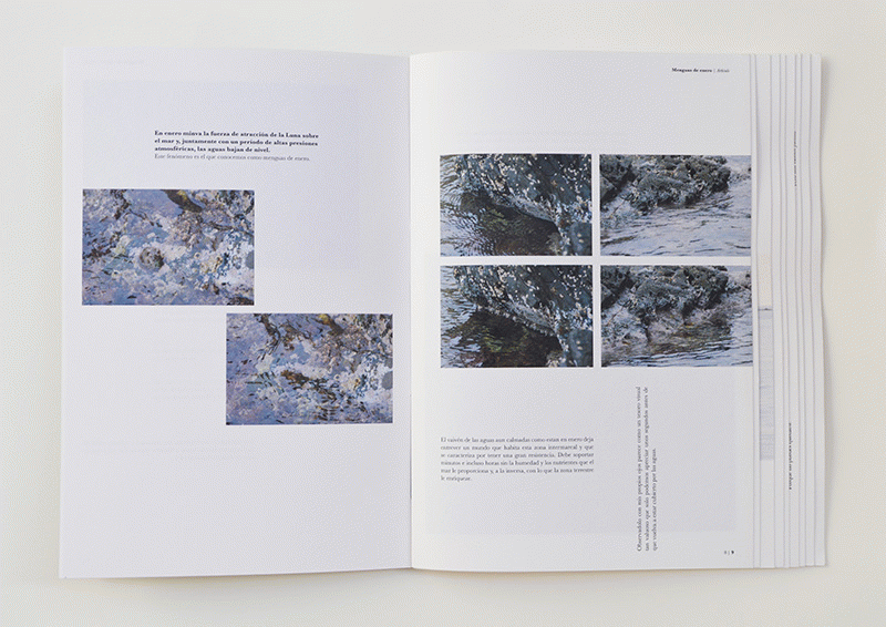 Vaivé - Judit Sànchez Torner