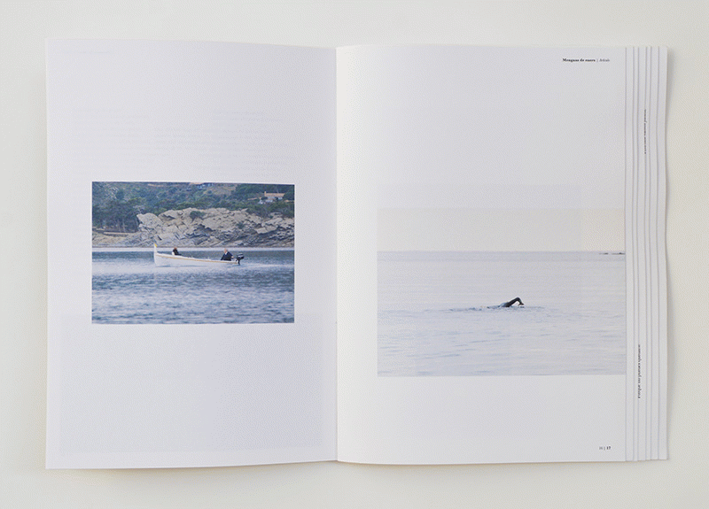 Vaivé - Judit Sànchez Torner