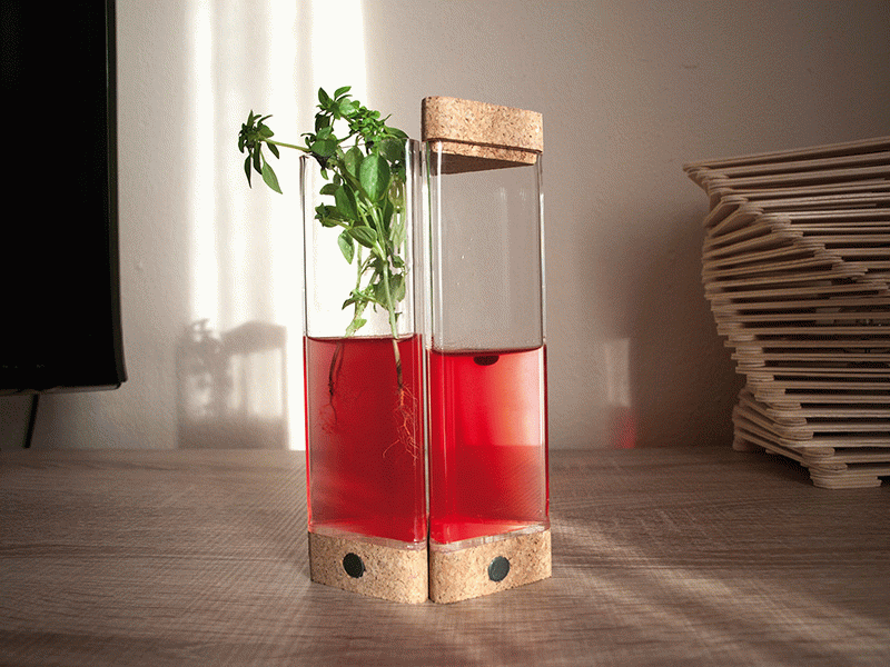 Laura González Jansà - Flowpot