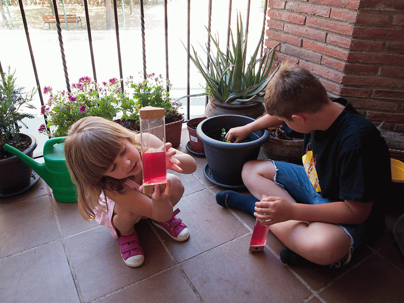 Laura González Jansà - Flowpot