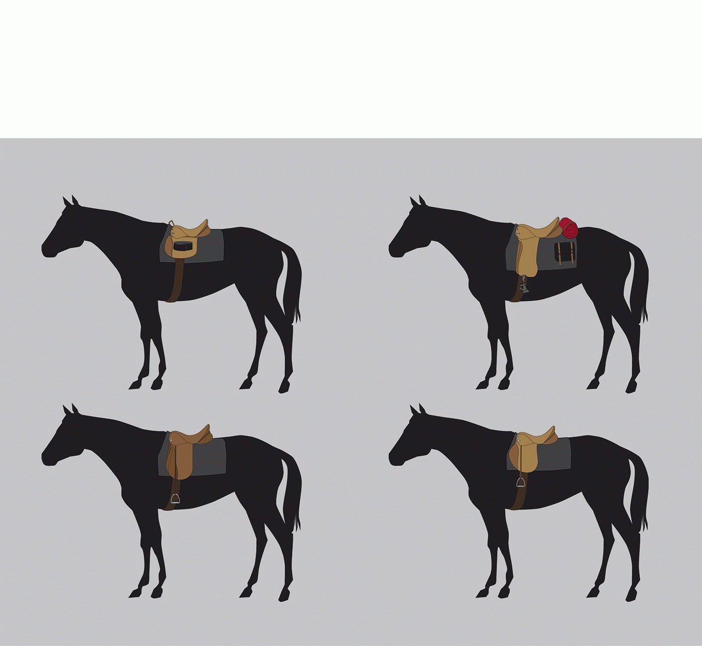 Laia Preixens - La sella adaptable