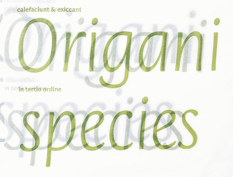 Orenga - Lluís Serra Pla