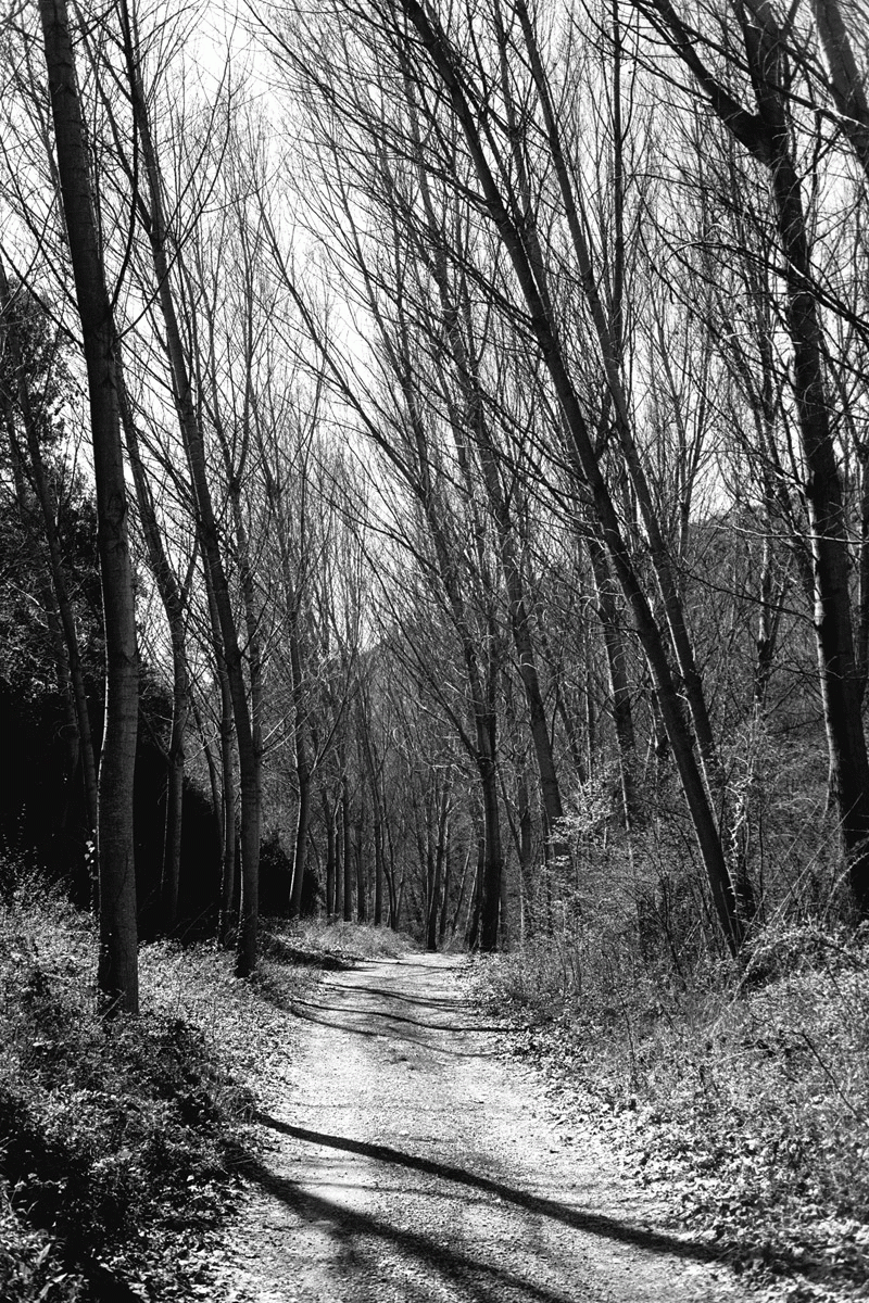 TFG de Marina Bertran a Eina - Riu de conflents