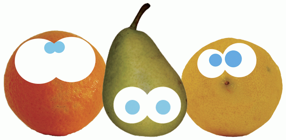 Maria Ferrés - Fruitins