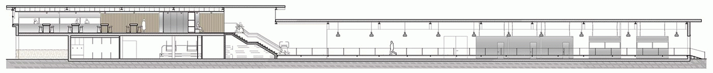 Mariona Mallol Carrizosa - La Llotja