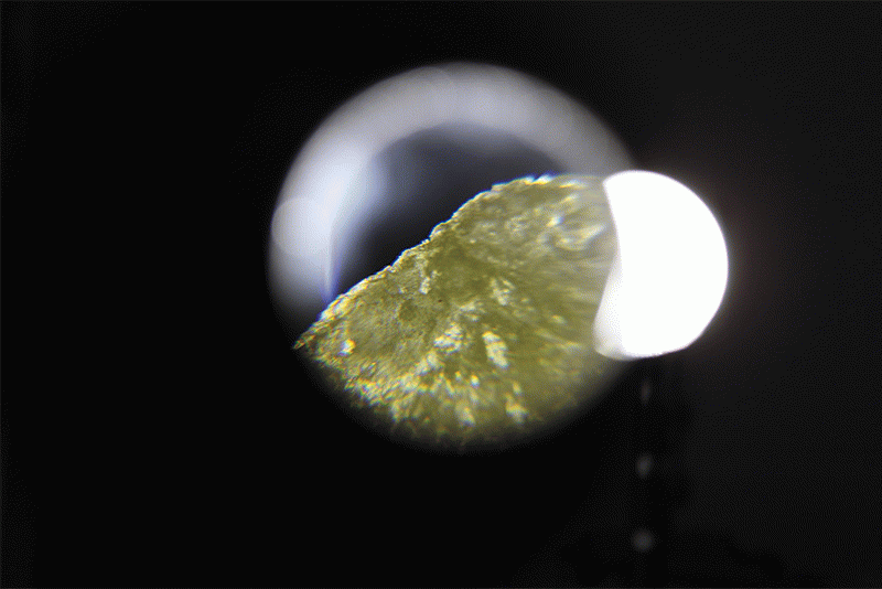 MIRU - Marta Muñoz Juncà