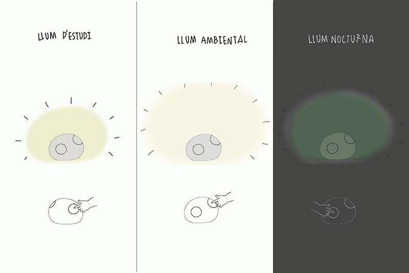 Aorate - Maria Riera Gálvez