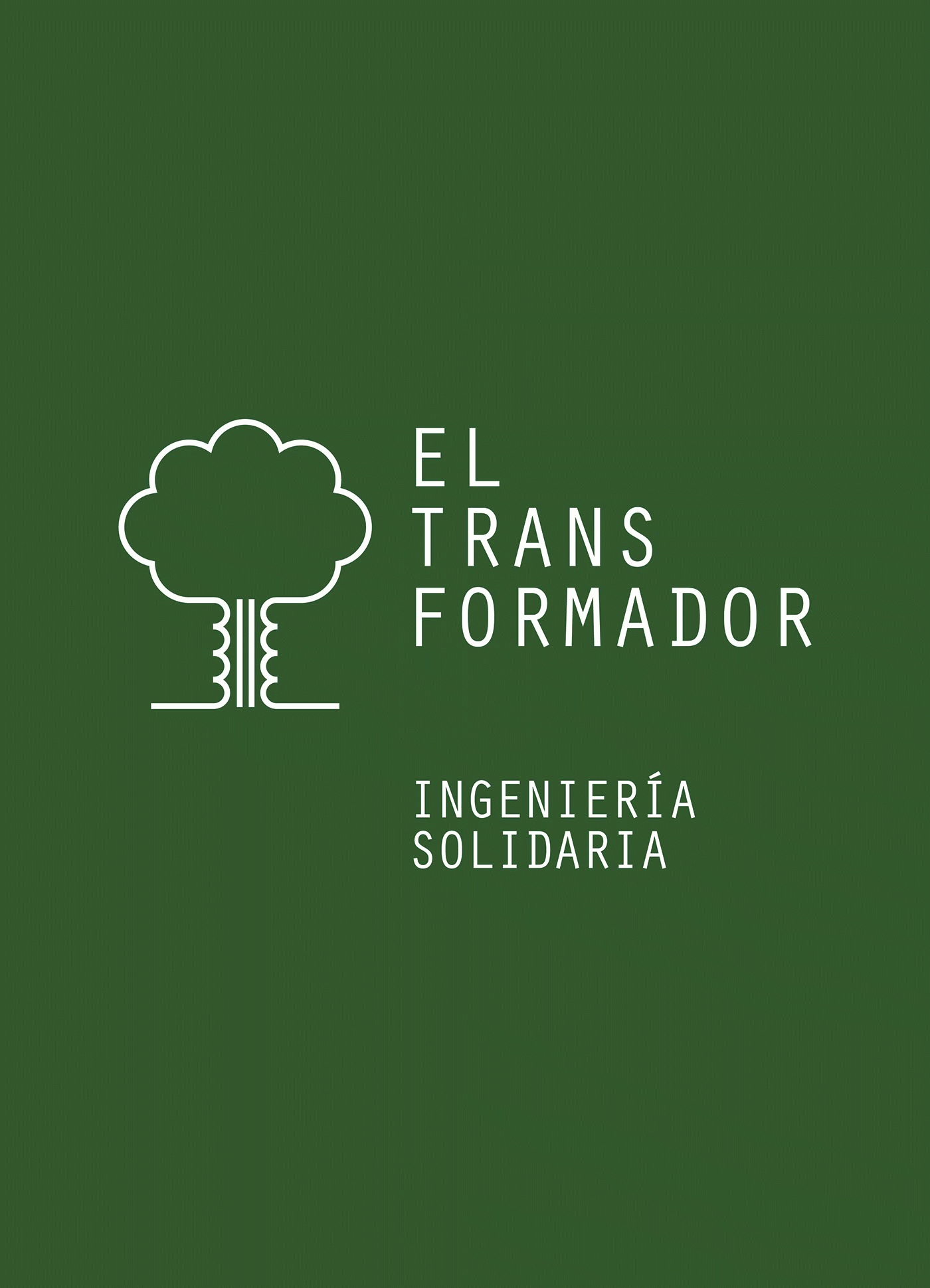 Nuria Bringué Bergua - El Transformador