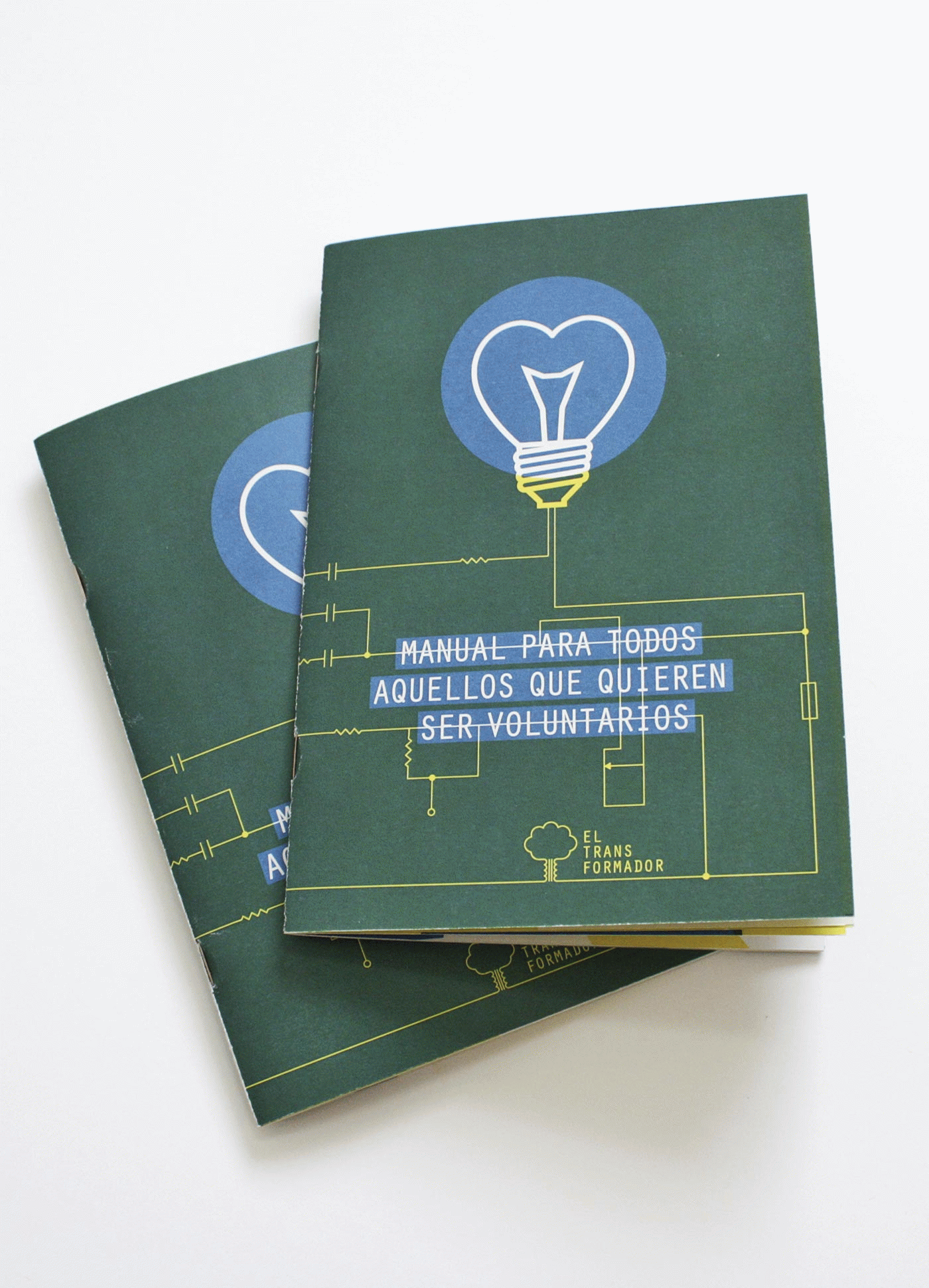 Nuria Bringué Bergua - El Transformador