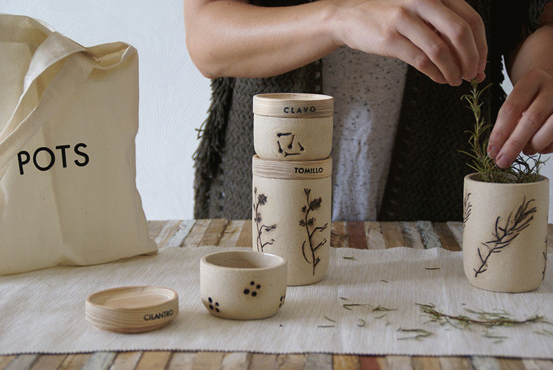 POTS - Nina Gannau Coma