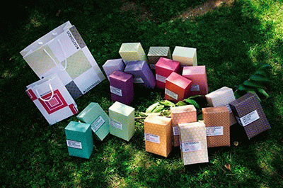 Neus Soler Minoves - Cafeinado