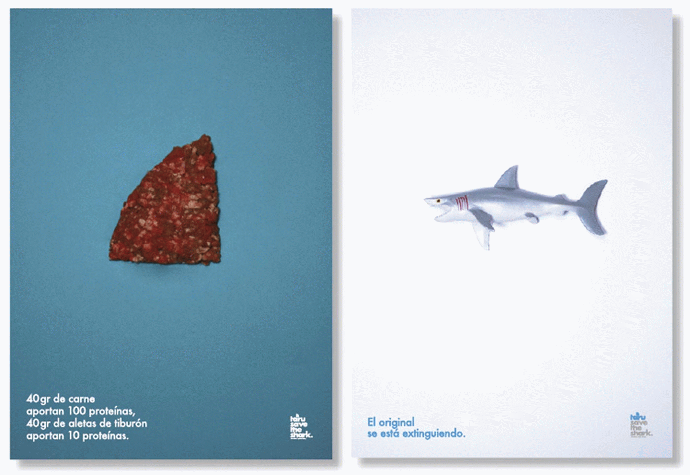 Olga de la Iglesia - Taru. Save the shark