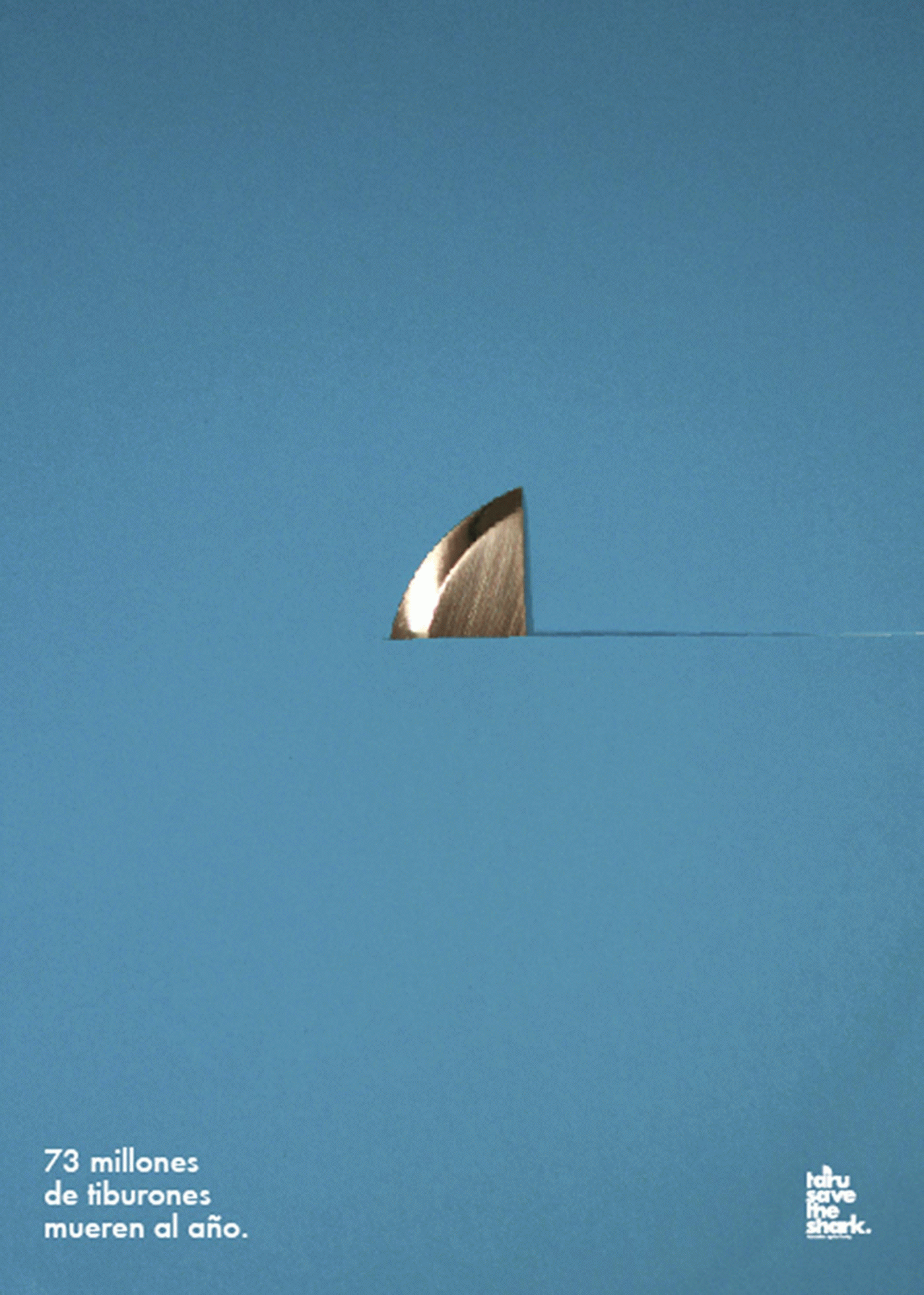 Olga de la Iglesia - Taru. Save the shark