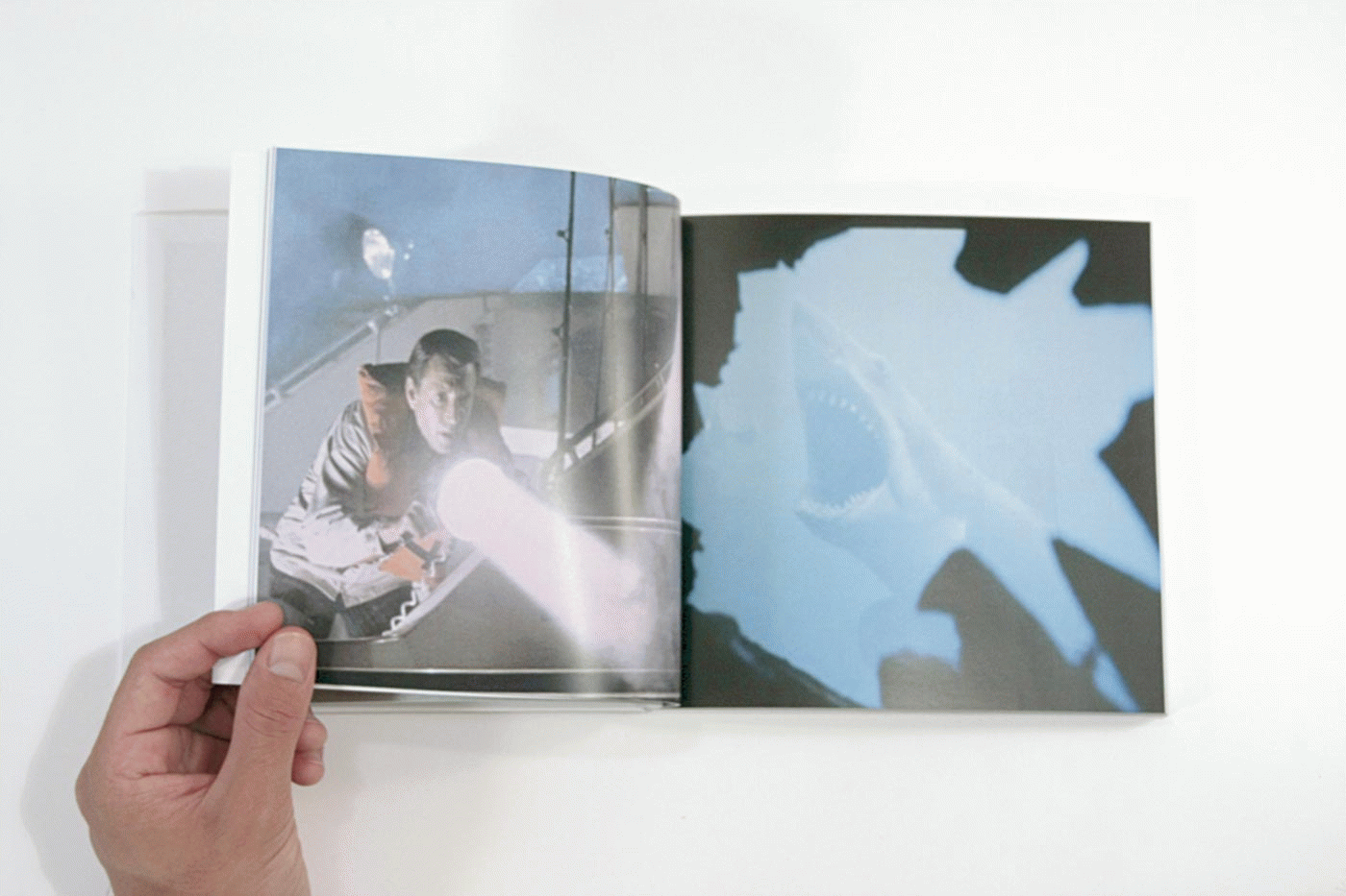 Olga de la Iglesia - Taru. Save the shark