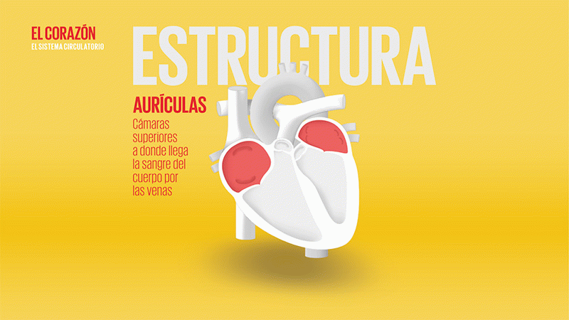 Globo - Sofia Soldevila de ViIallonga