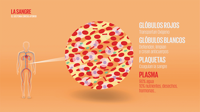 Globo - Sofia Soldevila de ViIallonga