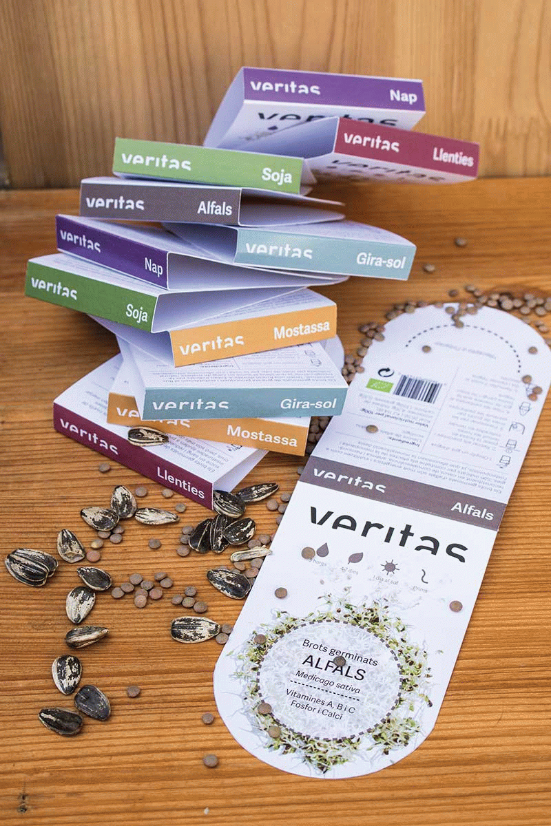 Tània Álvarez Bravo - Grow up