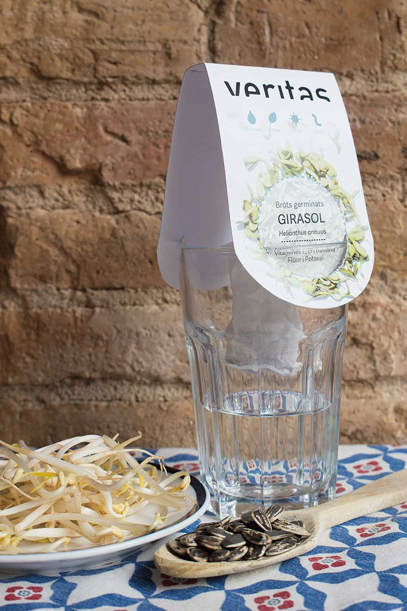 Tània Álvarez Bravo - Grow up