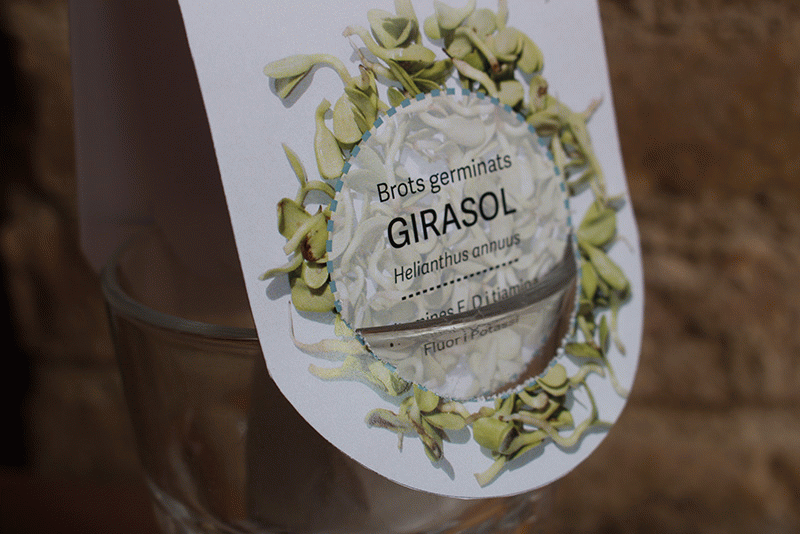 Tània Álvarez Bravo - Grow up