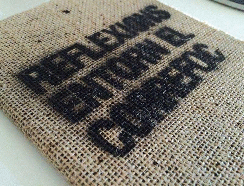 Reflexions entorn del correfoc - Xavier Latorre Cascante