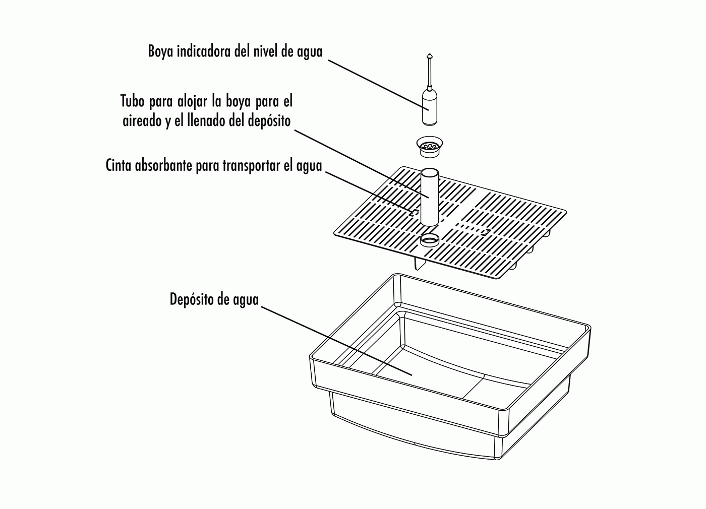 Yann Figueiredo Laissy - Growing