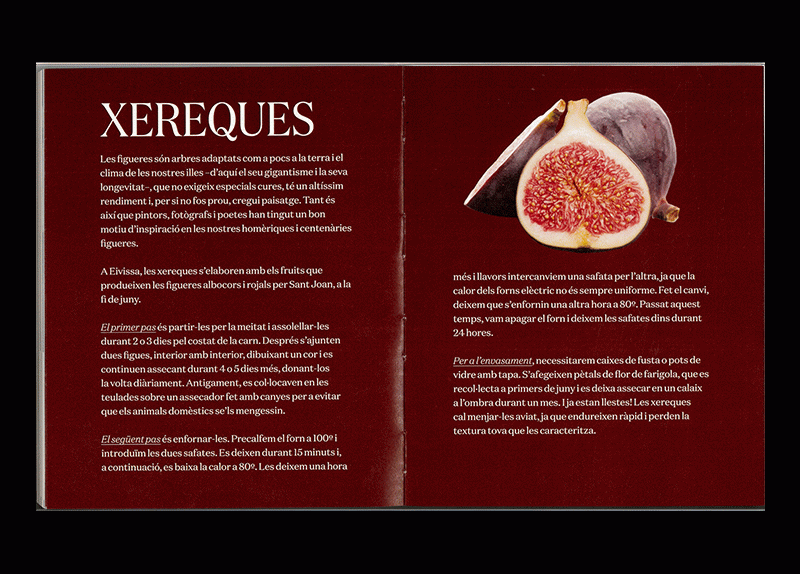 Eivissa. El Palau Pagès 