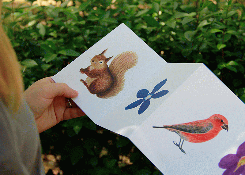 Serra de Port del Comte