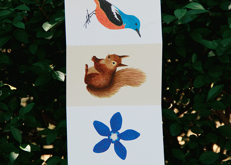 Serra de Port del Comte