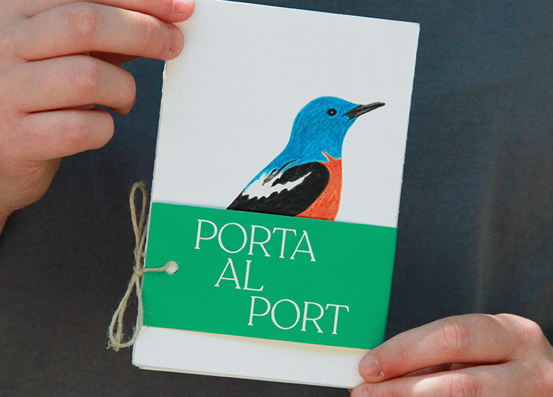 Serra de Port del Comte